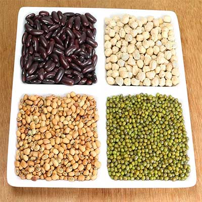 Plant Based Lifestyle Living Plant Based Lifestyle Living